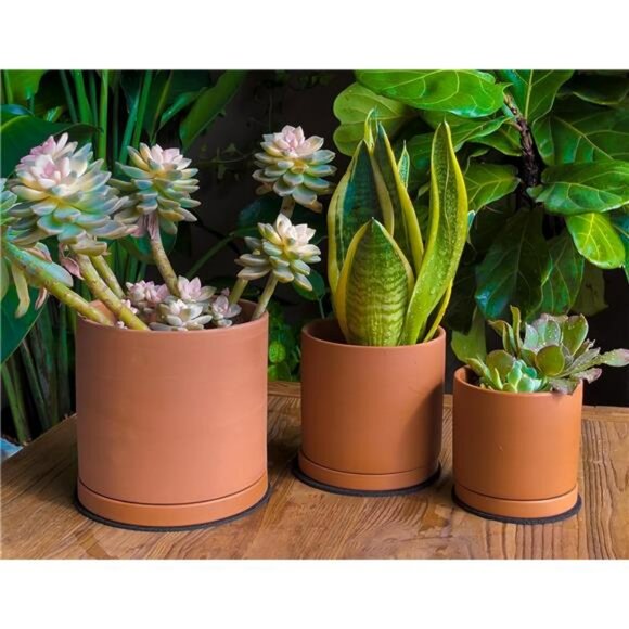 Terracotta Planter Pots with Drainage and Saucers Set for Succulents Cactus - Picture 2 of 7